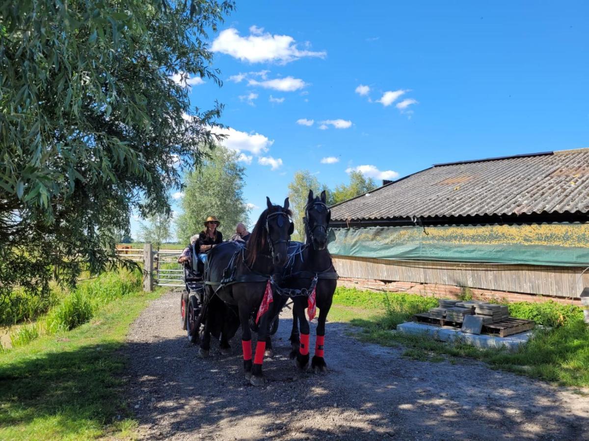 Hotel De Huifkar, Trekkershut Bij Sneek Hommerts Zewnętrze zdjęcie