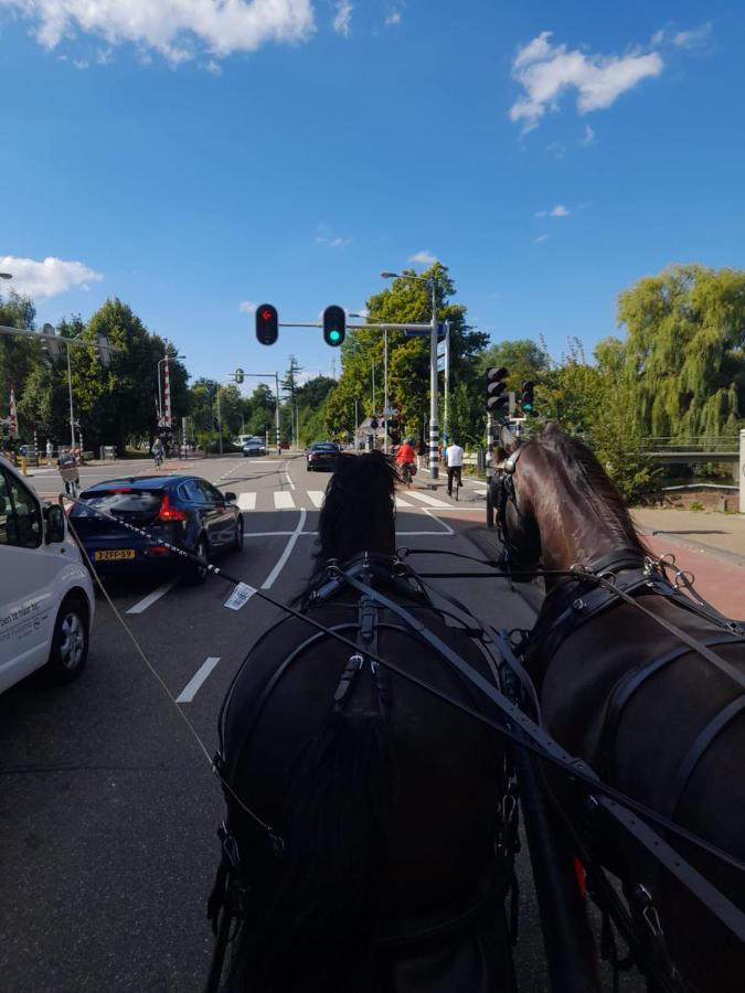Hotel De Huifkar, Trekkershut Bij Sneek Hommerts Zewnętrze zdjęcie