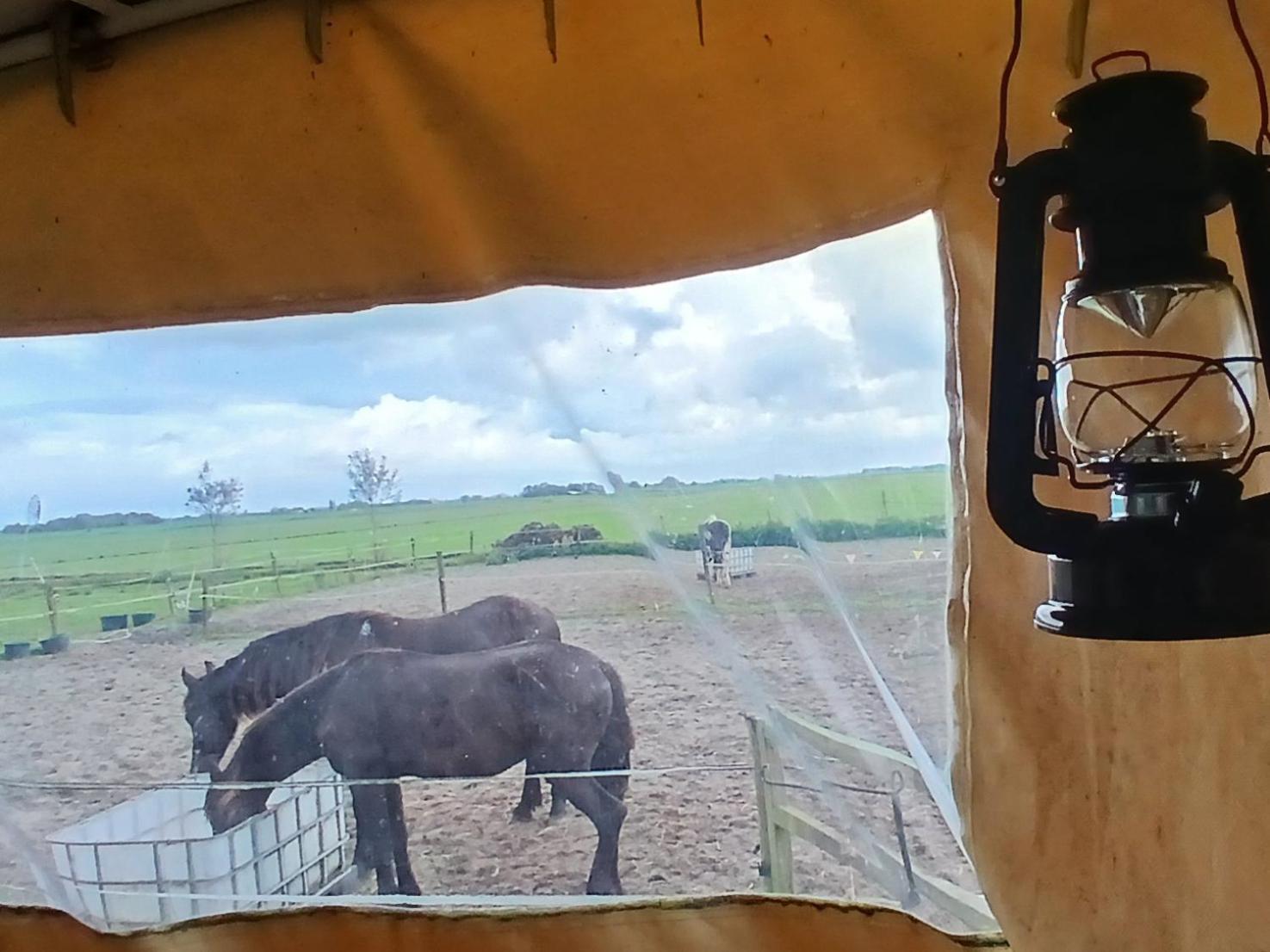 Hotel De Huifkar, Trekkershut Bij Sneek Hommerts Zewnętrze zdjęcie