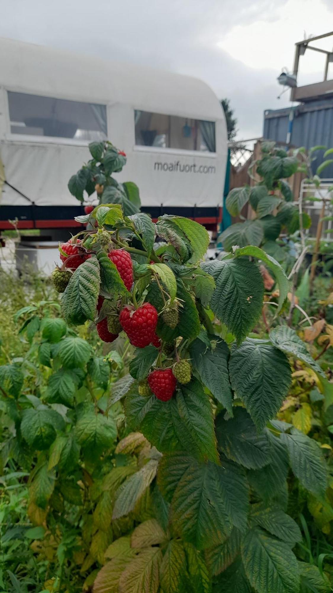 Hotel De Huifkar, Trekkershut Bij Sneek Hommerts Zewnętrze zdjęcie
